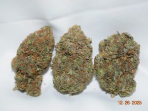 MK Ultra Indica Dominant Hybrid AAA+