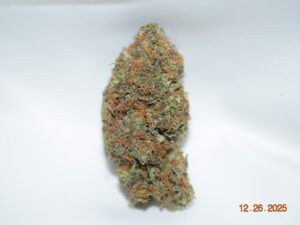 MK Ultra Indica Dominant Hybrid AAA+