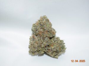 Purple Haze Sativa Dominant Hybrid AAAA