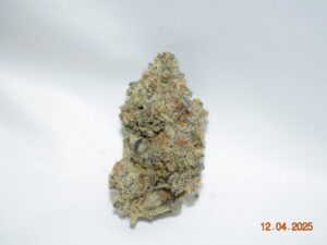 Purple Haze Sativa Dominant Hybrid AAAA