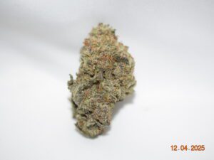 Purple Haze Sativa Dominant Hybrid AAAA