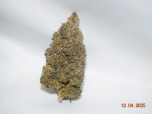 Tropicana Cookies Sativa Dominant Hybrid AAAA