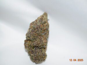 Tropicana Cookies Sativa Dominant Hybrid AAAA