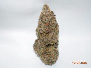 Tropicana Cookies Sativa Dominant Hybrid AAAA