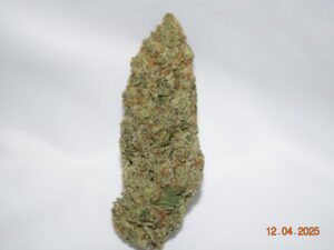 White Rhino Indica Dominant Hybrid AAAA