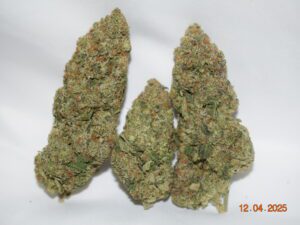 White Rhino Indica Dominant Hybrid AAAA