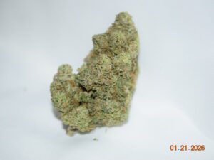 Sherbanger Sativa Dominant Hybrid AAAA+