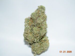 Sherbanger Sativa Dominant Hybrid AAAA+
