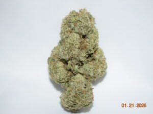 Sherbanger Sativa Dominant Hybrid AAAA+