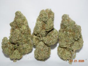 Sherbanger Sativa Dominant Hybrid AAAA+
