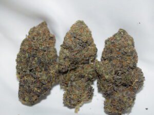 Black Death Bubba Indica Dominant Hybrid AAAA+