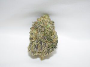 Black Tuna Balance Hybrid AAA