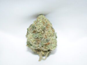 Black Tuna Balance Hybrid AAA