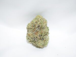 Black Tuna Balance Hybrid AAA