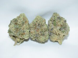 Black Tuna Balance Hybrid AAA