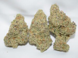 Orange Cherry Indica Dominant Hybrid AAAA+
