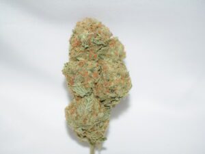 Jamaican Dream Sativa Dominant Hybrid AAA