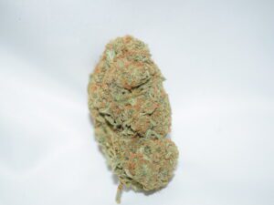 Jamaican Dream Sativa Dominant Hybrid AAA