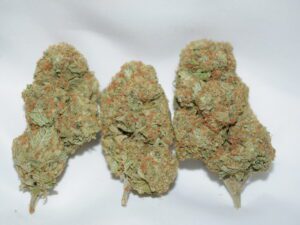 Jamaican Dream Sativa Dominant Hybrid AAA