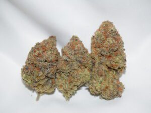 Platinum Bubba Indica Dominant Hybrid AAA