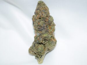 Purple Afghan Indica Dominant Hybrid AAA