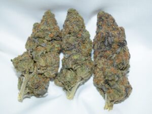 Purple Afghan Indica Dominant Hybrid AAA