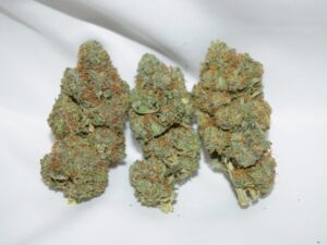 Quantum Kush Sativa Dominant Hybrid AAA