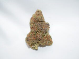 Red Congolese Pure Sativa AAA