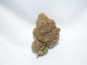 Red Congolese Pure Sativa AAA