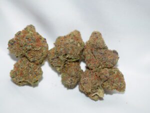 Red Congolese Pure Sativa AAA
