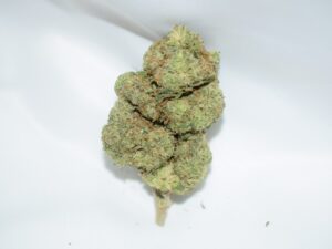 The Toad Indica Dominant Hybrid AAA