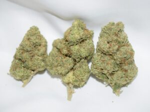 The Toad Indica Dominant Hybrid AAA