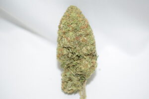 Cinderella 99 Sativa Dominant Hybrid AAA+