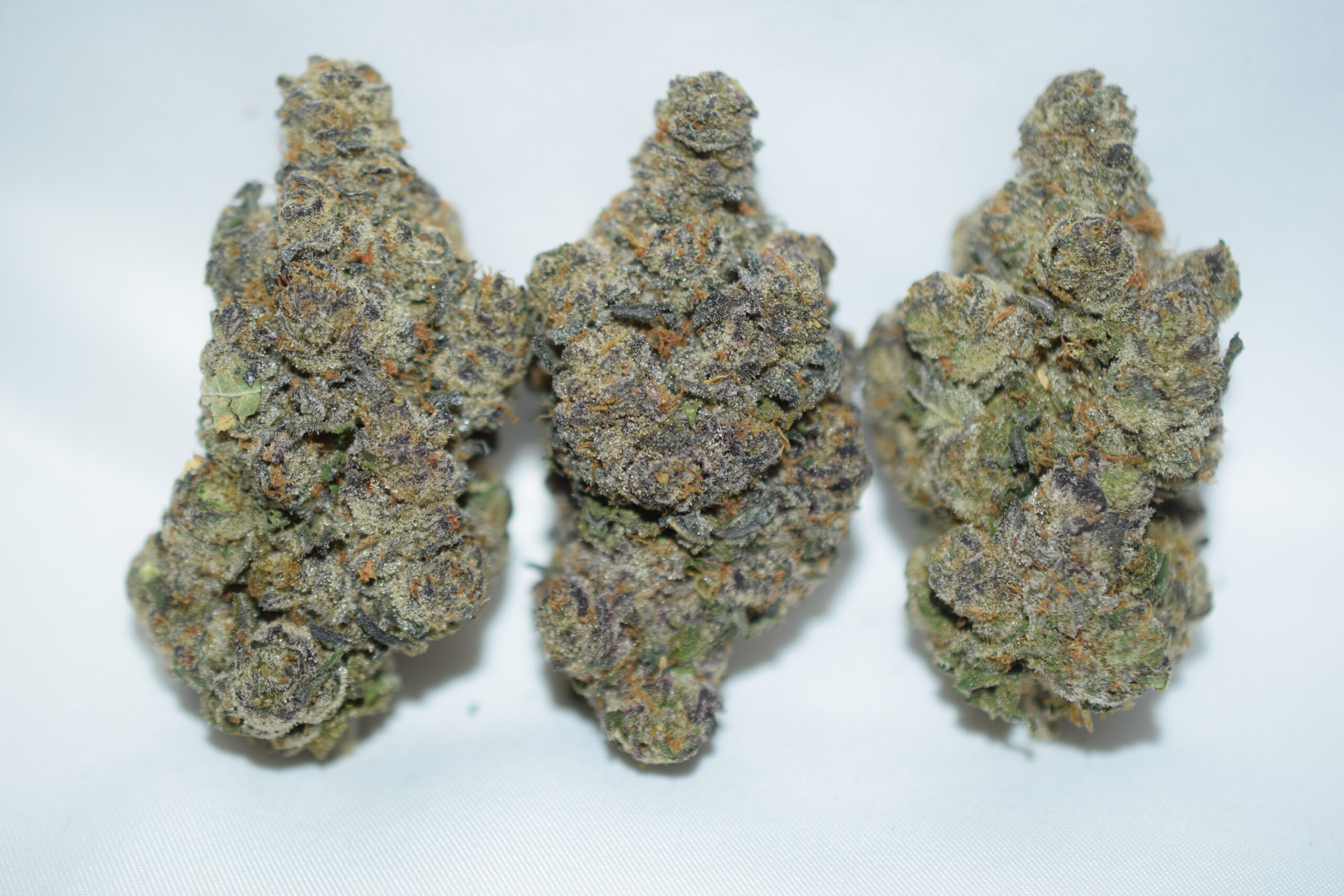 Candyland Sativa Dominant Hybrid AAA+