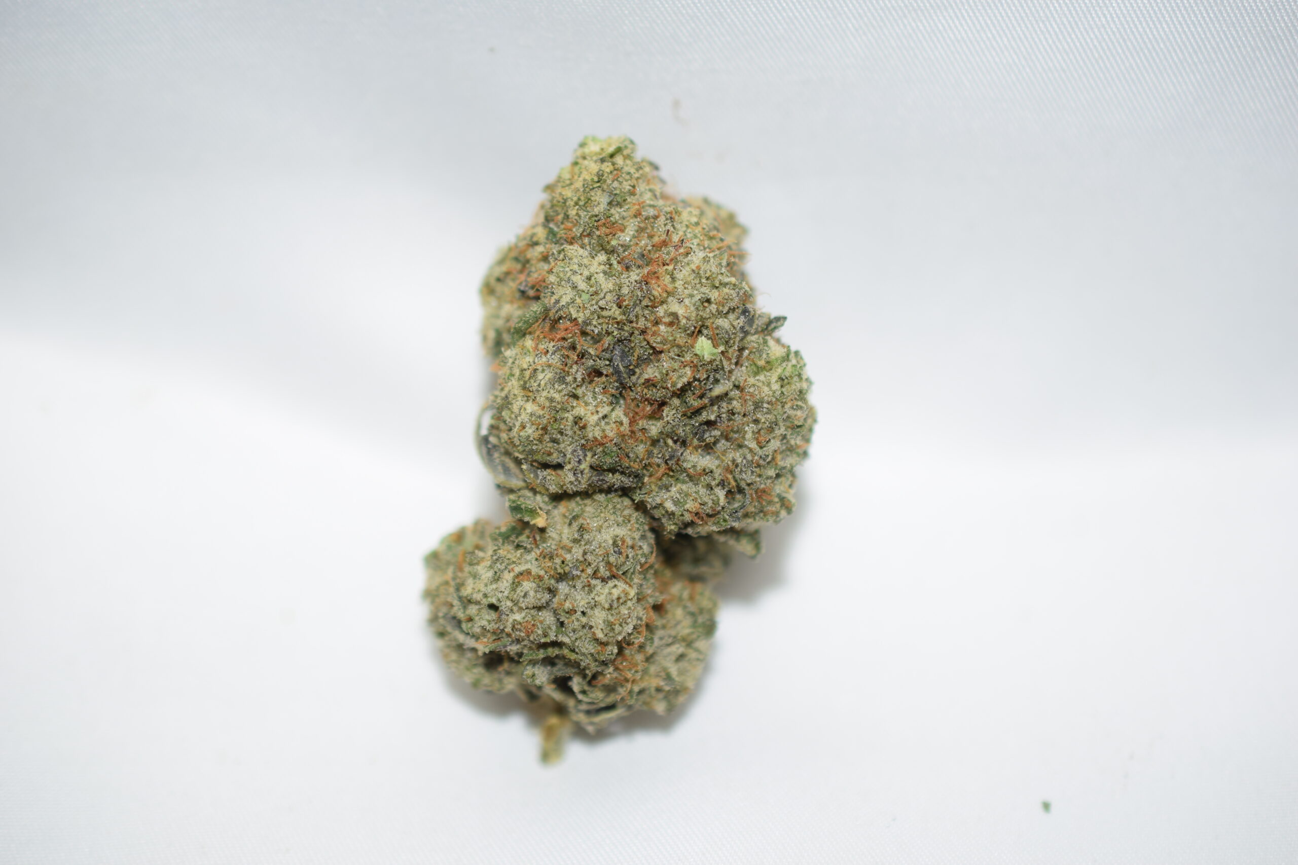 Comatose Indica Dominant Hybrid AAA