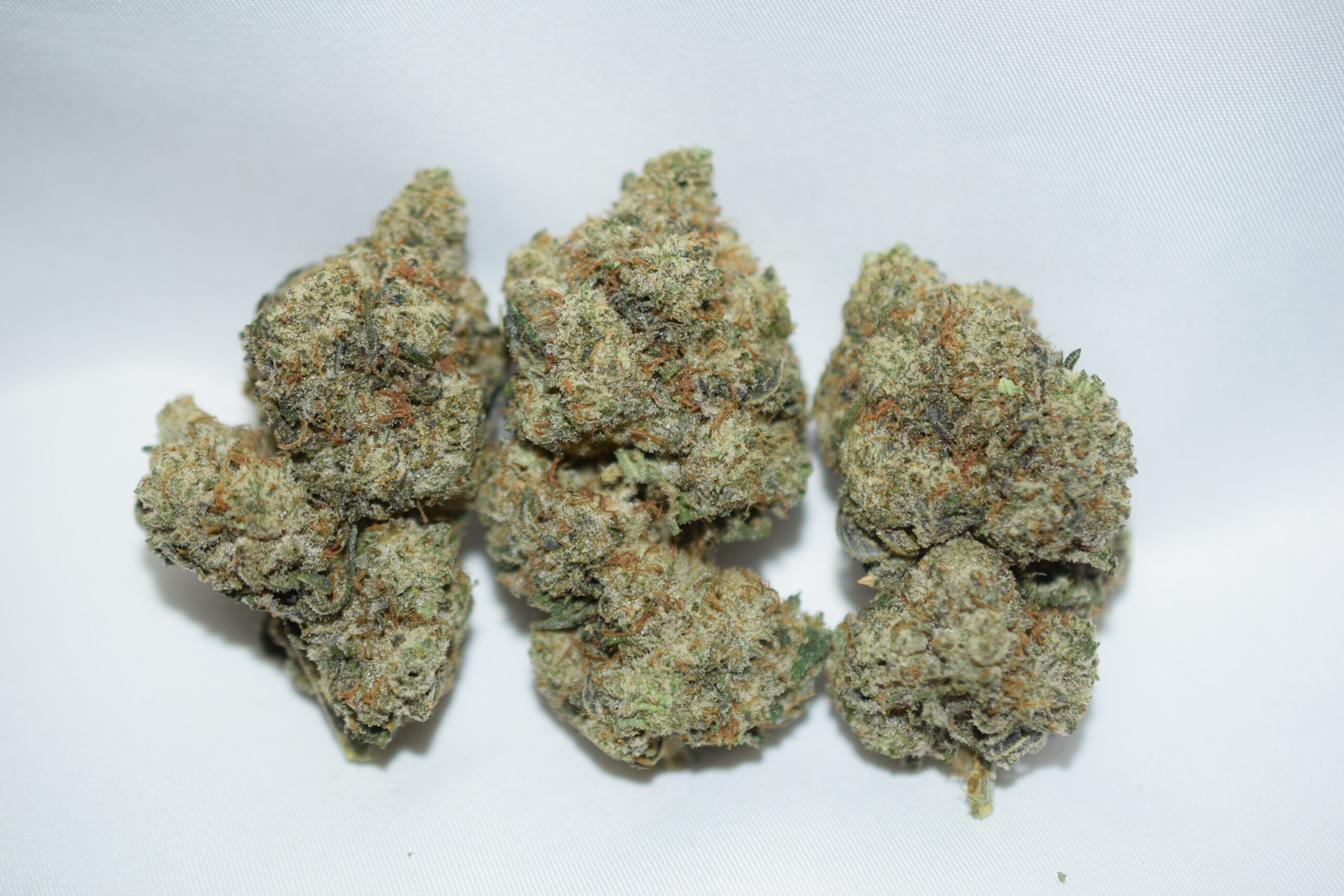 Comatose Indica Dominant Hybrid AAA