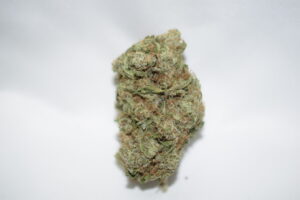 Critical Mass Indica Dominant Hybrid AAA