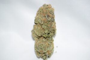 Mango Haze Balanced Hybrid AAA