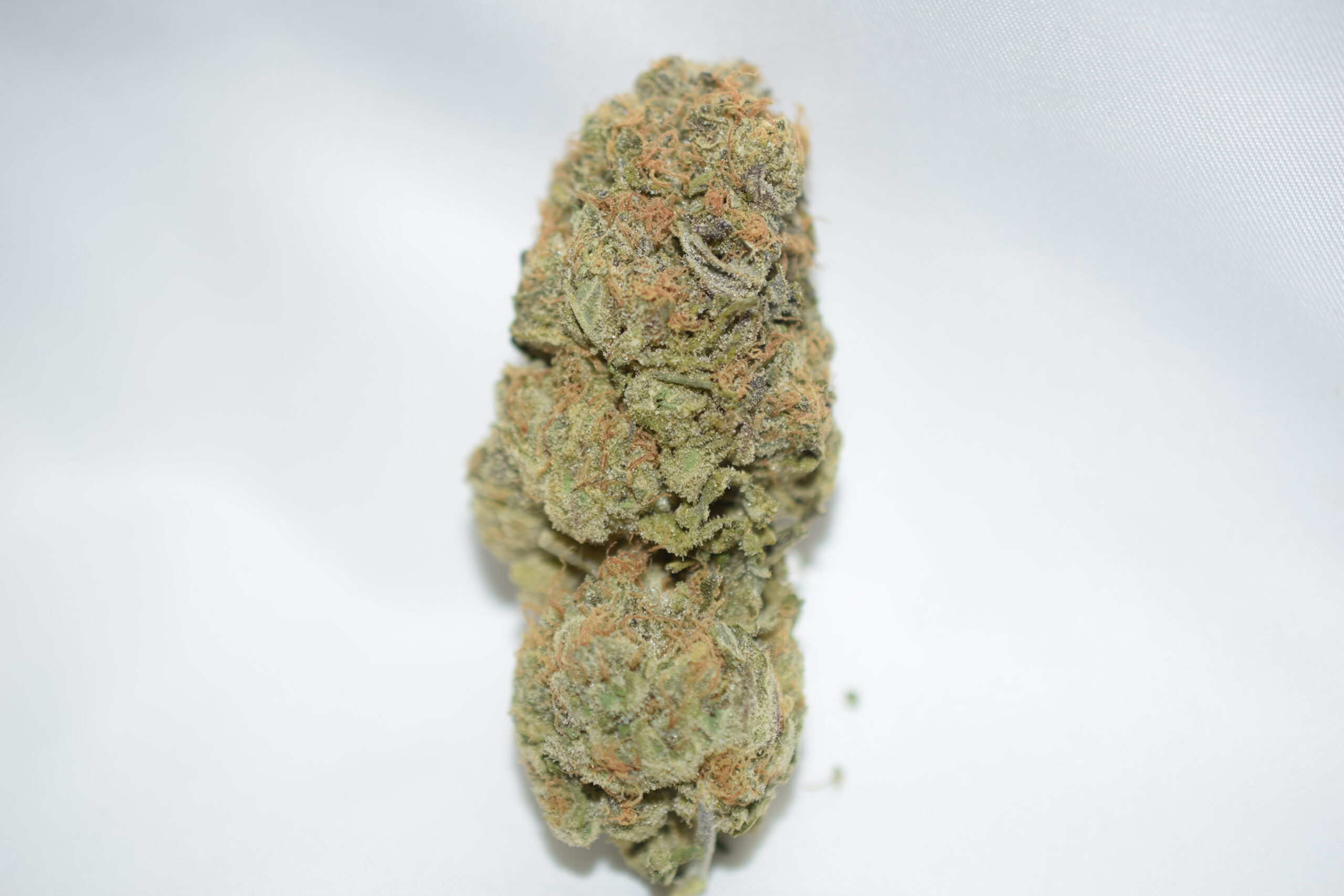 Mango Haze Balanced Hybrid AAA