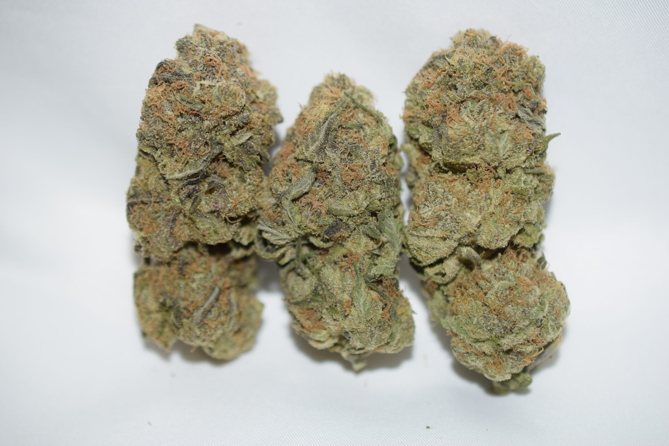 Mango Haze Balanced Hybrid AAA