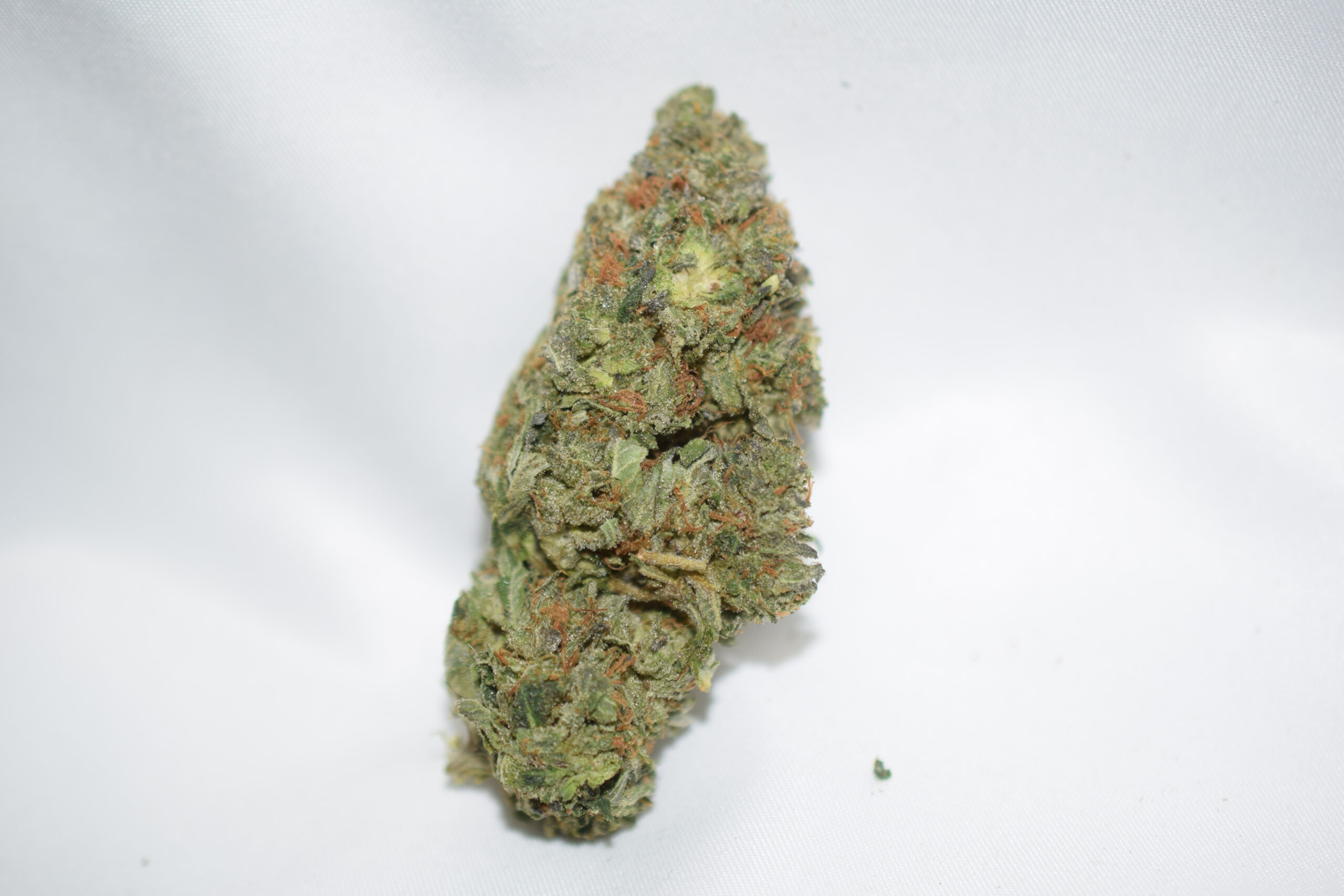 Mike Tyson Indica AAAA