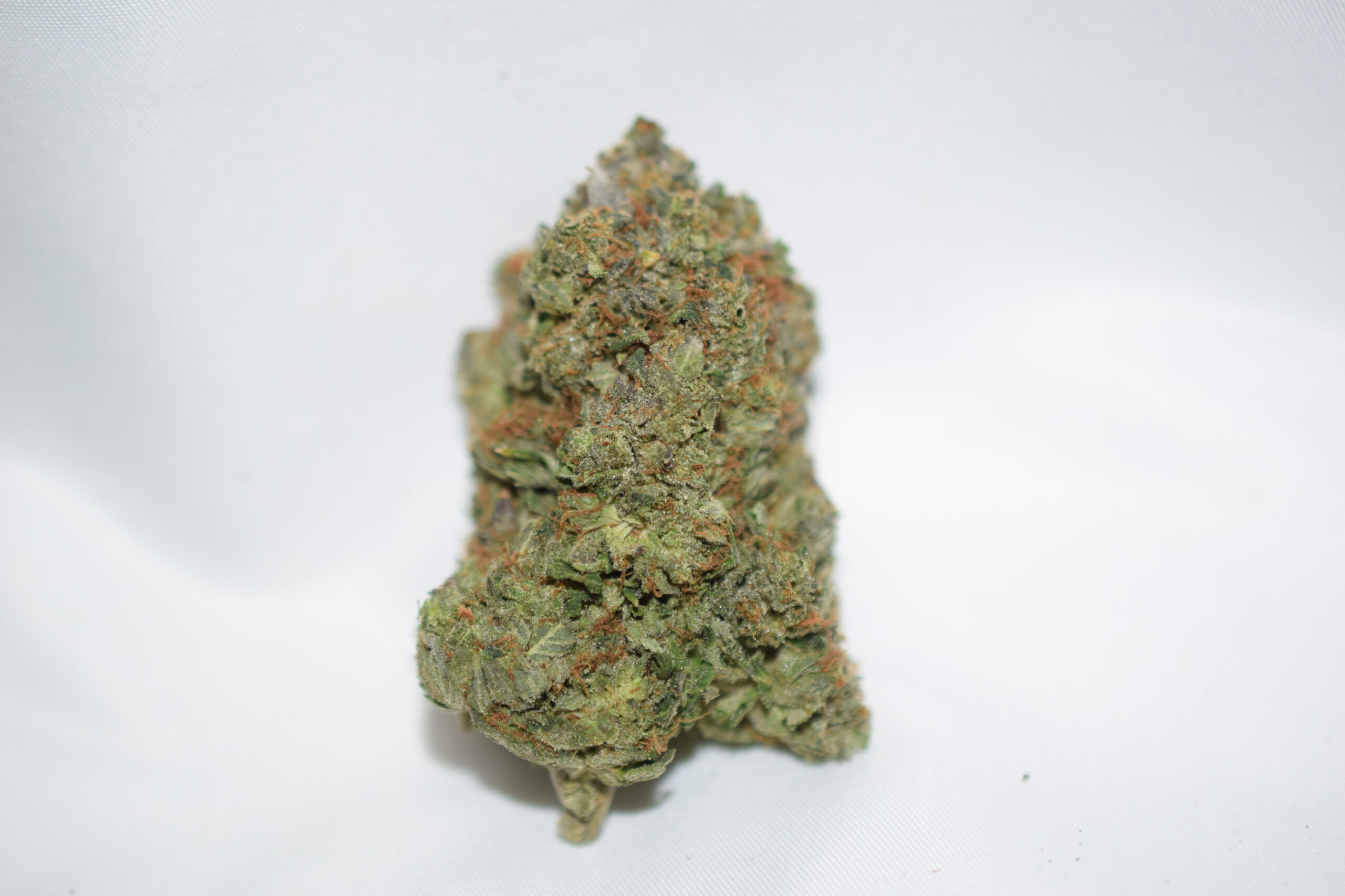 Mike Tyson Indica AAAA