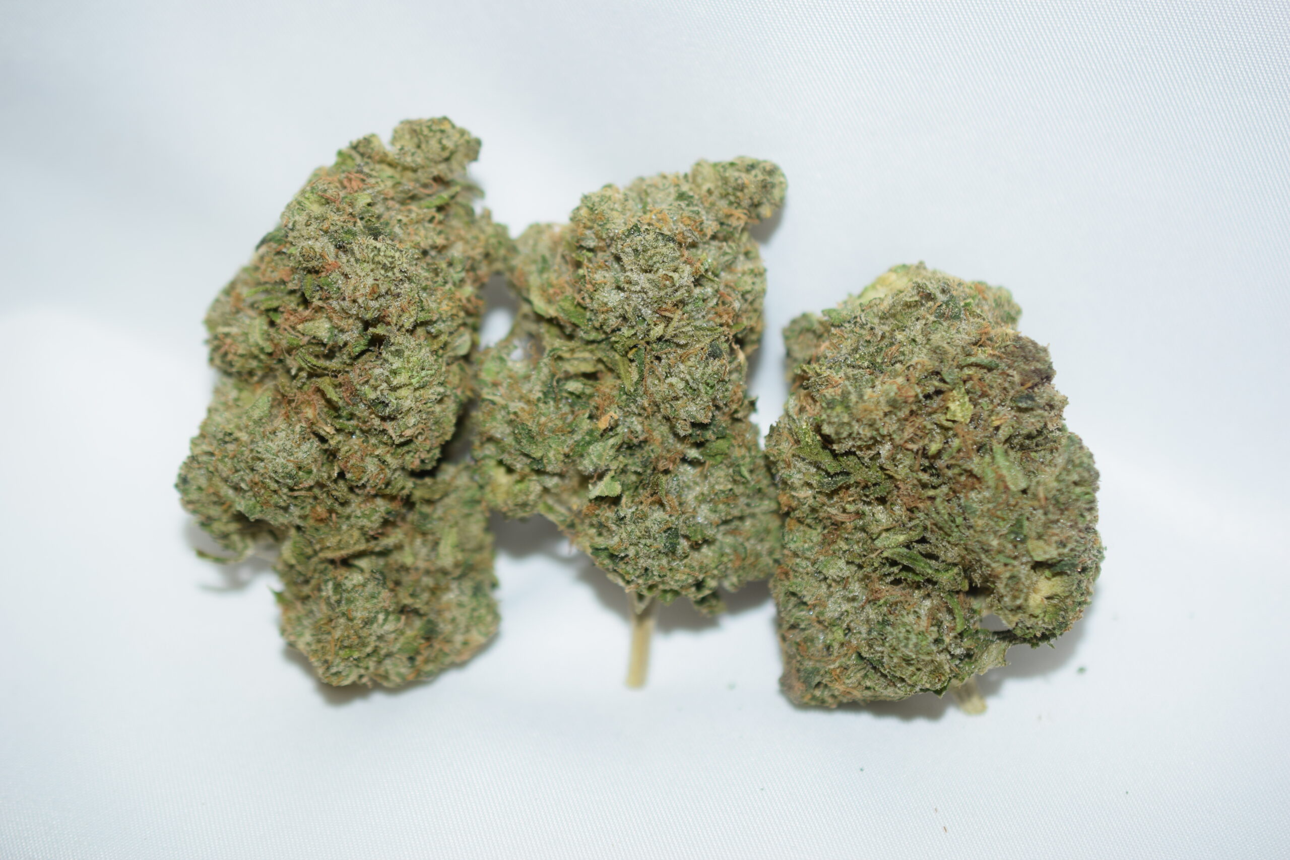 Pink Gas Indica Dominant Hybrid AAA+