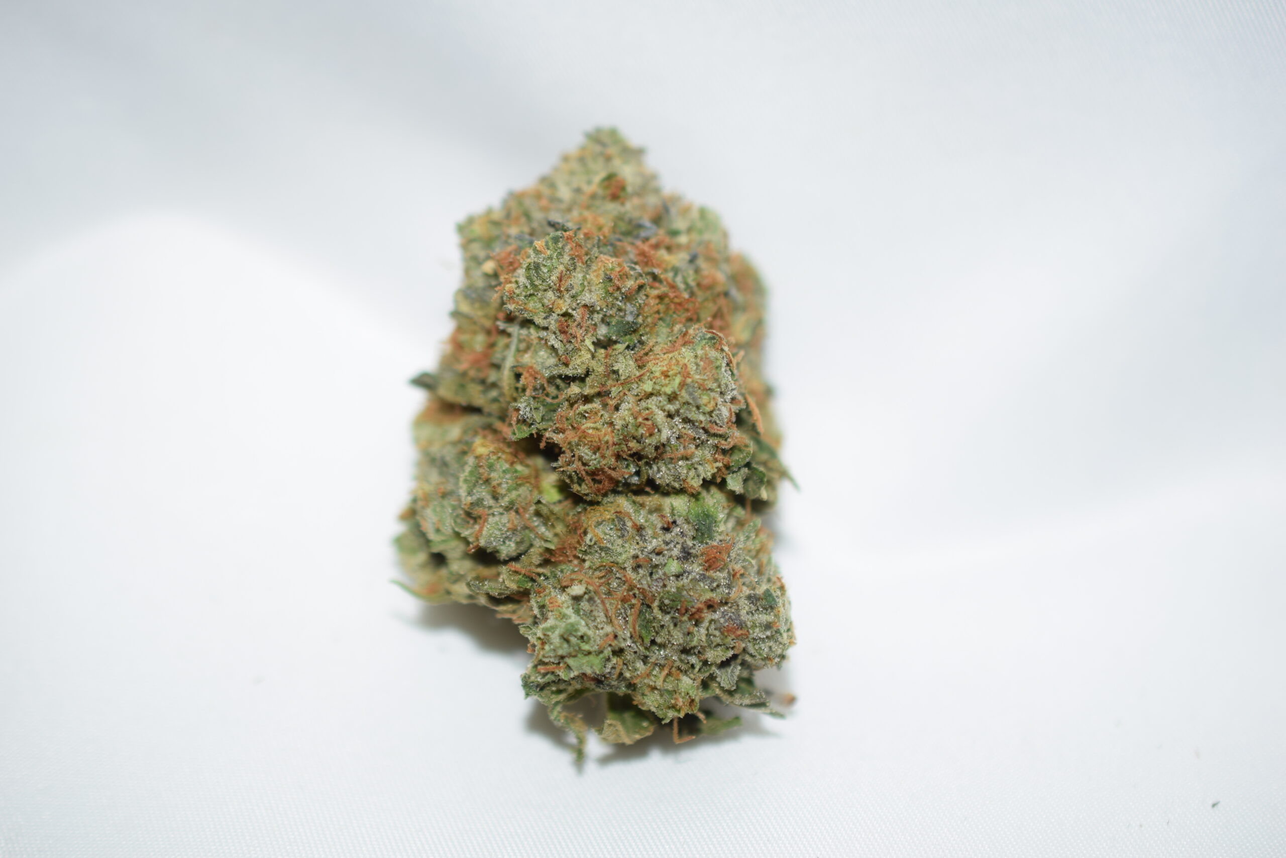 Rockstar Indica Dominant Hybrid AAA+