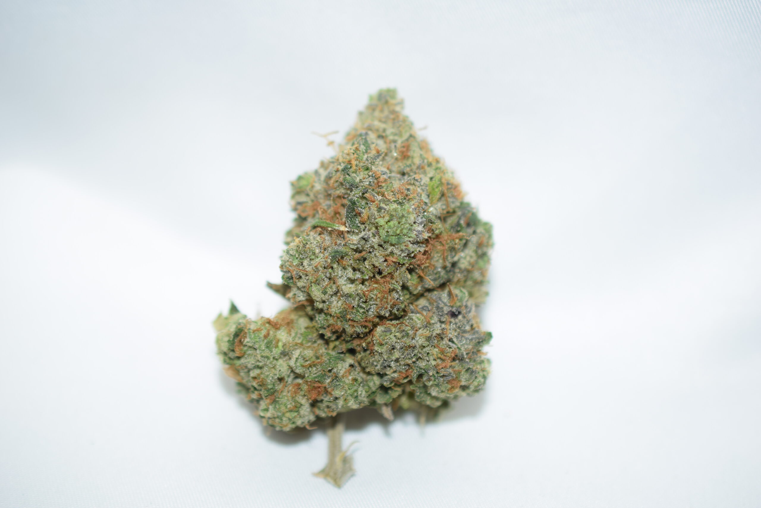 Rockstar Indica Dominant Hybrid AAA+