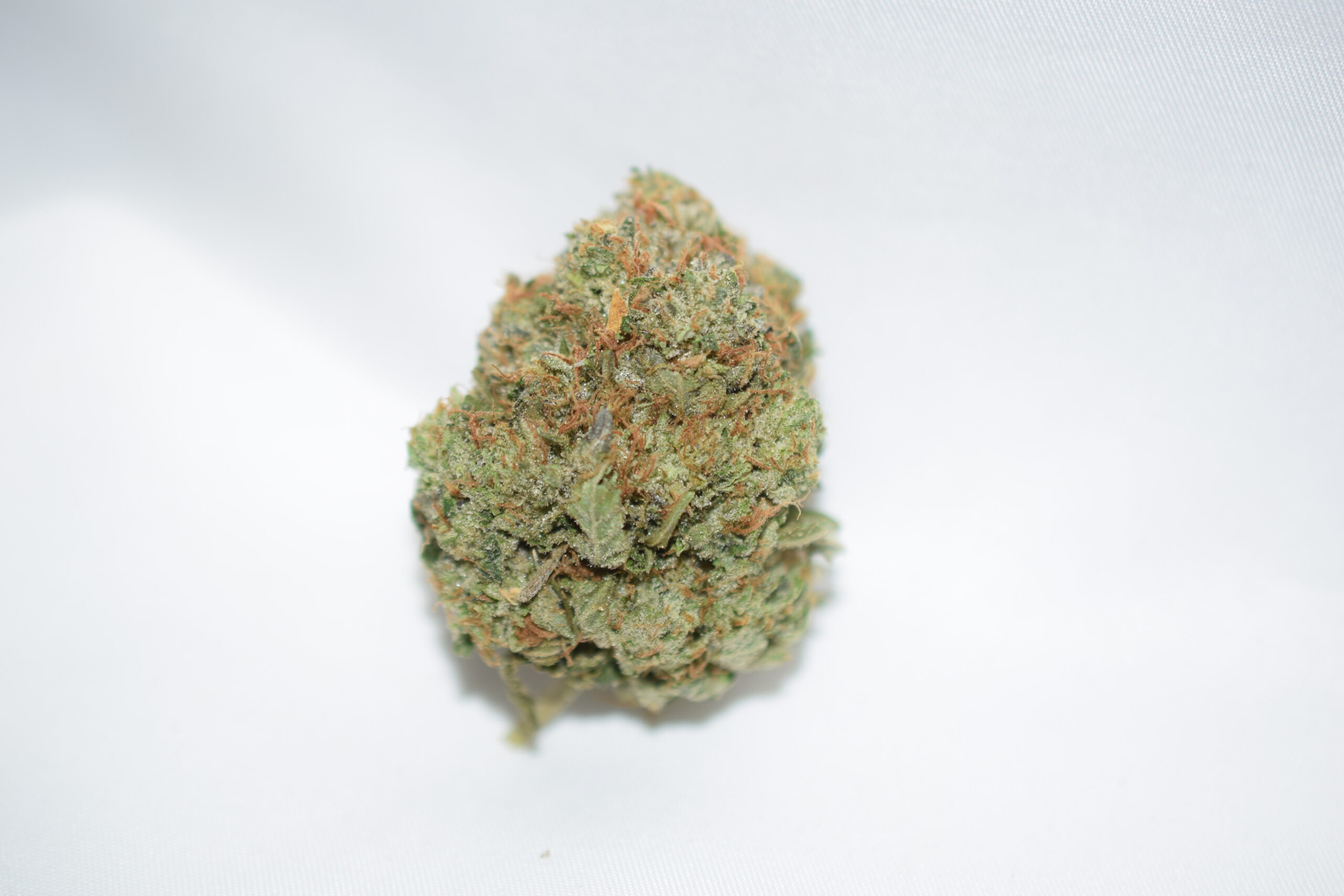 Rockstar Indica Dominant Hybrid AAA+