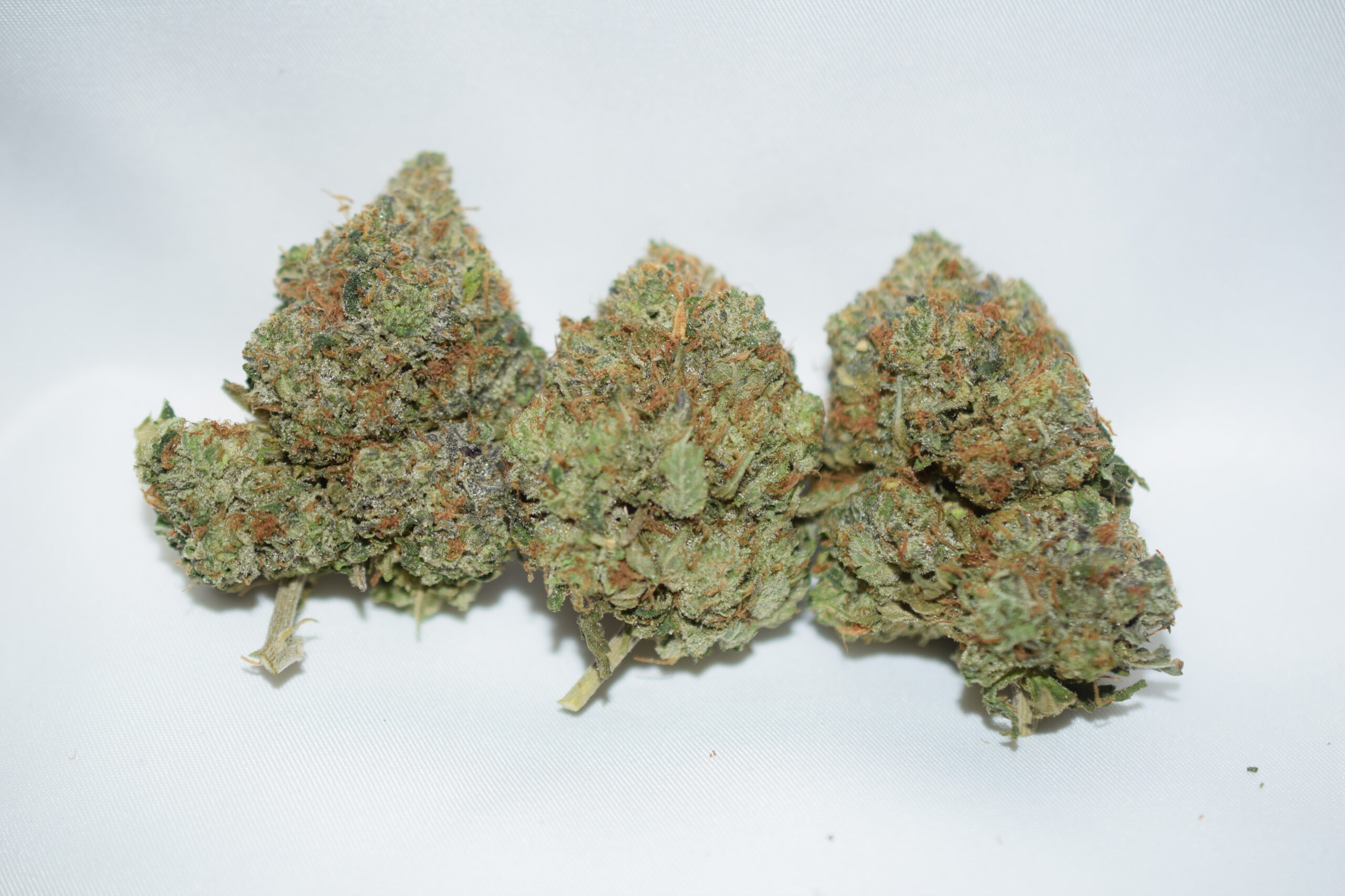 Rockstar Indica Dominant Hybrid AAA+