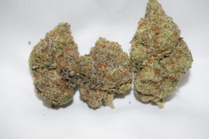 Space Queen Balanced Hybrid AAAA $35 $55 $90 $160 $300