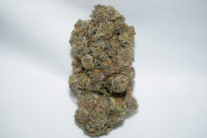 Tropicana Jet Fuel Sativa Dominant Hybrid AAAA