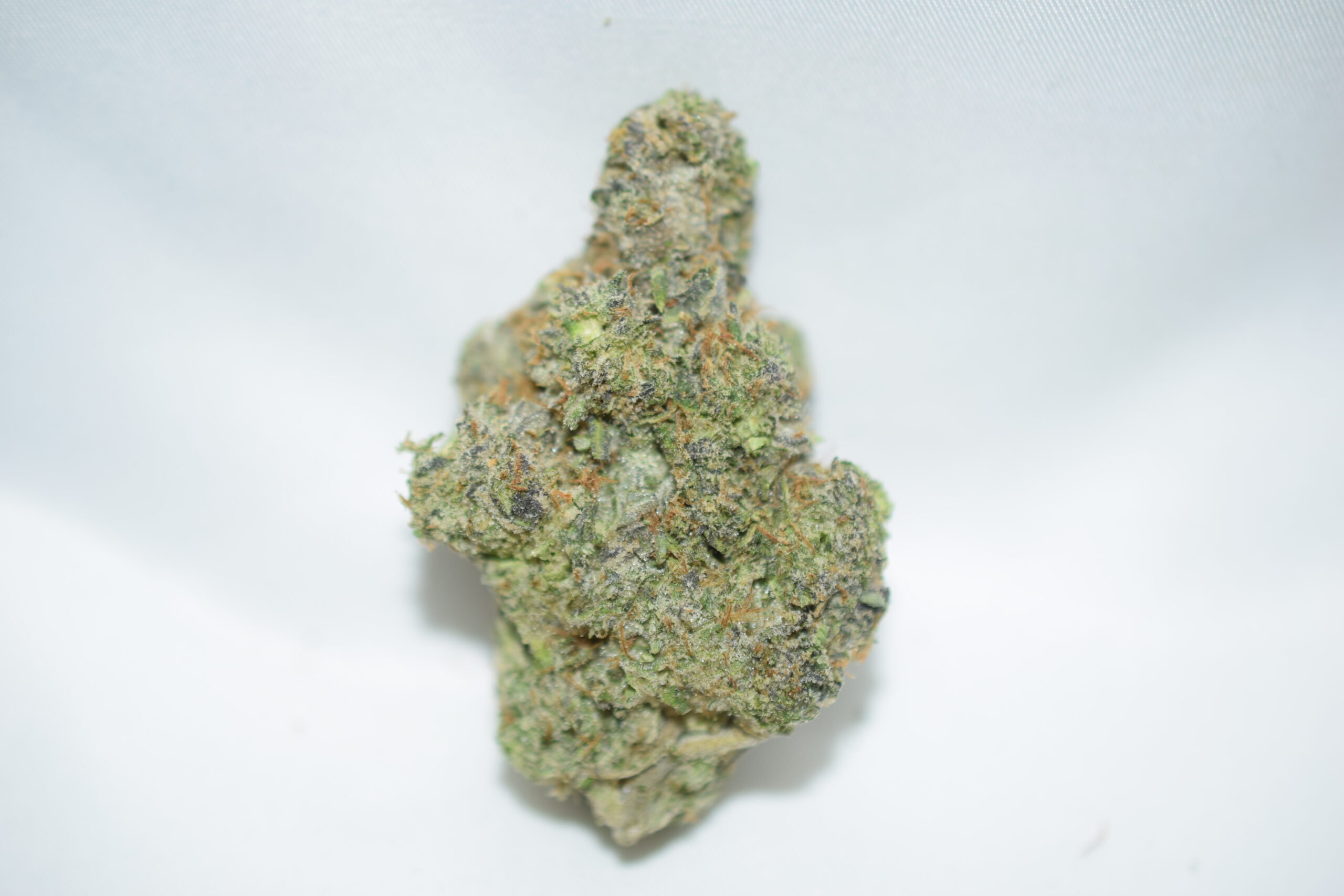 Blue Lobster Indica Dominant Hybrid AAAA+